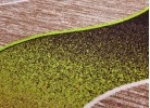 Мокетена пътека ERIKA 8012 beige/green